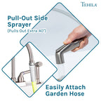 Tehila Stainless Steel Finish Gooseneck Faucet with Side Sprayer