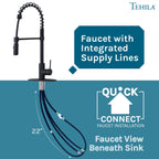 Tehila Black Finish High Arc Coil Pull-Down Faucet