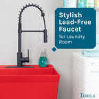 Tehila Black Finish High Arc Coil Pull-Down Faucet