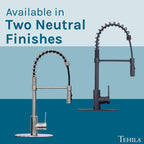 Tehila Black Finish High Arc Coil Pull-Down Faucet