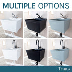 Tehila Standard Wall-Mounted White Utility Sink with Black Finish Pull-Down Faucet